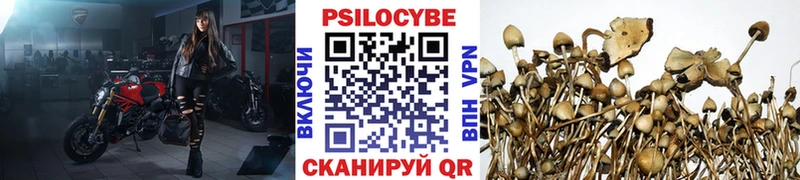 цены наркотик  shop состав  Галлюциногенные грибы Psilocybe  Ессентукская 